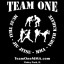 Team One Mixed Martial Arts