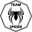 Team Spider - Ariel Abergel