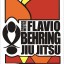 Flavio Behring  Jiu Jitsu USA