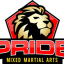 Pride Mixed Martial Arts