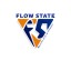 Flow State Martial Arts and Fitness