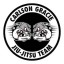 Carlson Gracie Parma