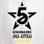 Five Elements Jiu Jitsu Huelva
