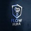 Flow MMA