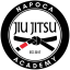 Napoca Jiu Jitsu Academy
