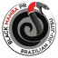 Black Mamba PR BJJ