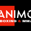 ANIMO BOXING & MMA