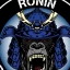 Ronin BJJ/Judo