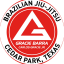 Gracie Barra Cedar Park