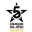 Five Elements Jiu-Jitsu Alentejo