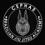 CEPHAS BRAZILIAN JIU-JITSU (IBJJFF)