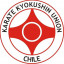 IKO UNION CHILE