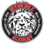 Invincible Academy