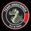 Team Anaconda BJJ & MMA