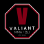 Valiant MMA and Fitness Gym