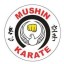 Mushin karate & SBG Belfast