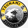 Tsunami BJJ Australia