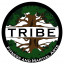 Tribe Fitness and Martial Arts