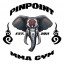 Pinpoint MMA