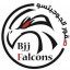 BJJ Falcons