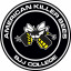 American Killer Bees