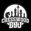 Chesswood BJJ