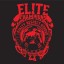 Elite Champions MMA