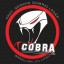 Team Brasa - Cobra