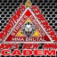 Lion's Den MMA Academy