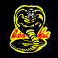 COBRA KAI/TEAM QUEST