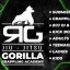 Gorilla grappling academy Gloucester