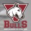 Bulls Bjj/ Vicious cycle