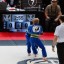 Checkmat / Antdawgs MMA