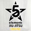 Five Elements Jiu-Jitsu Cascais