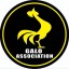 Galo Association bjj