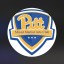 Pitt MMA