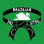 Swansea University Brazilian Jiu Jitsu Club