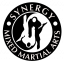 Synergy BJJ MMA Academy SG