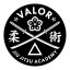 Valor Jiu Jitsu Academy