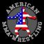 American MMA&Wrestling