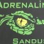 Adrenaline Academy