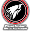 BJJ Coach- Rising Phoenix