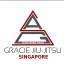 Gracie Jiu-Jitsu Singapore Team Pedro Sauer