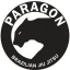 Paragon BJJ Kimberling City