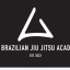 The Brazilian Jiu Jitsu Academy