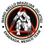 Mario Aiello bjj, Ensenada team