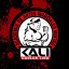 Artes Marciales Mixtas CALI