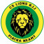 LIONS BJJ