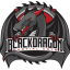 Black Dragon Martial Arts AZ