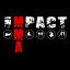 Impact MMA Salisbury